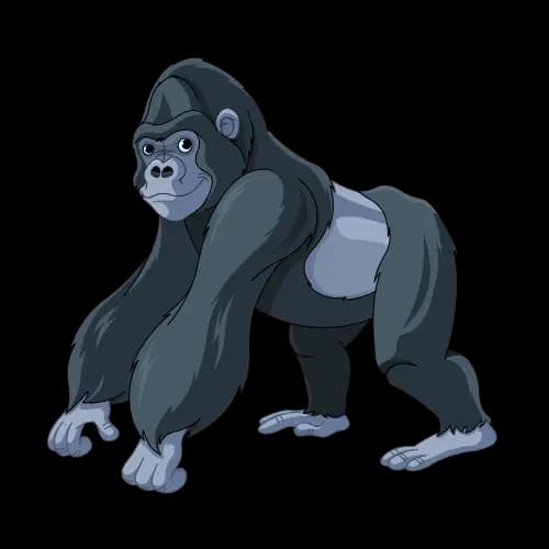 Gorilla illustration
