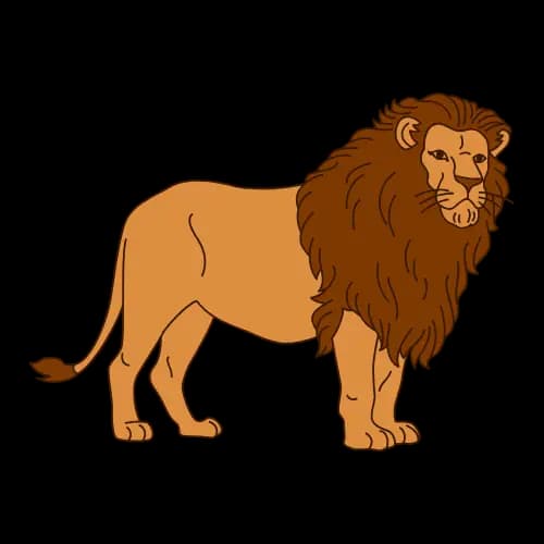Lion illustration