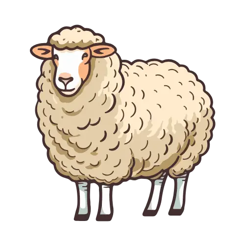 Sheep illustration