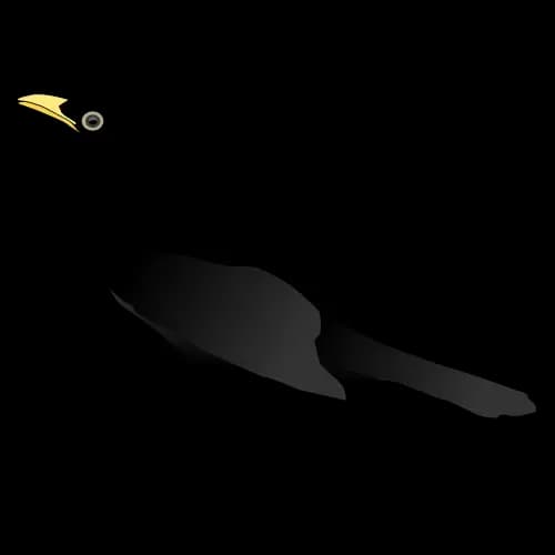 Crow illustration