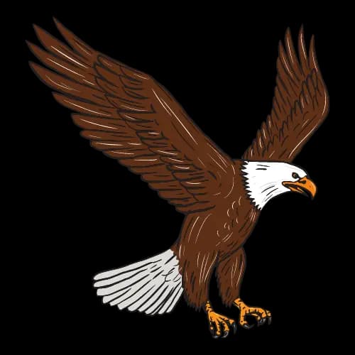 Eagle illustration