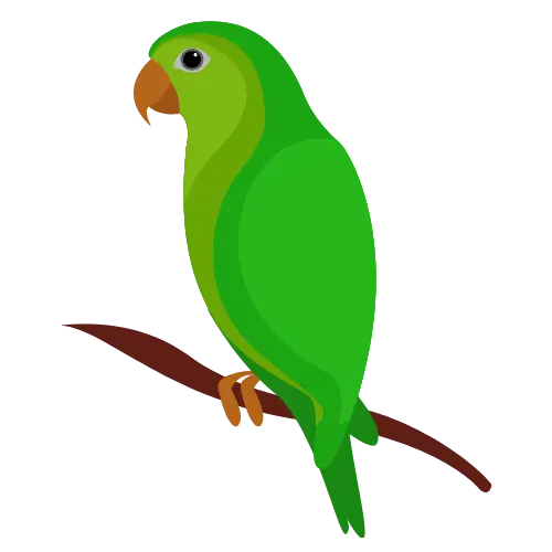 Parrot illustration