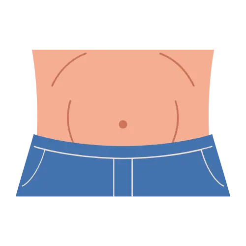 Stomach illustration