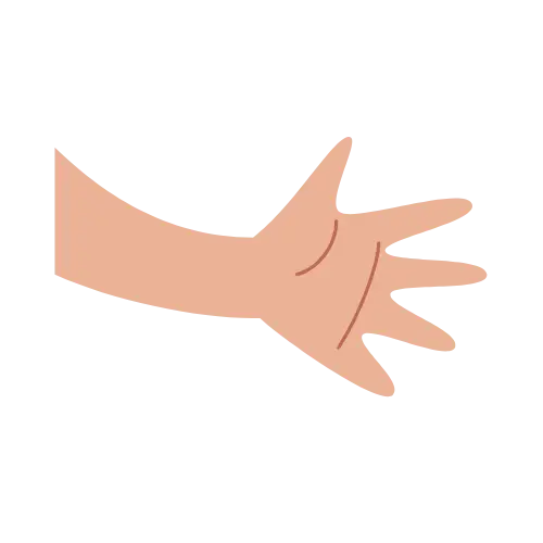 Hand illustration