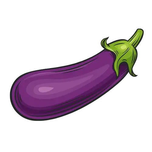 Eggplant illustration