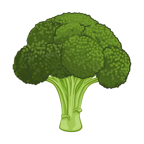 Broccoli illustration