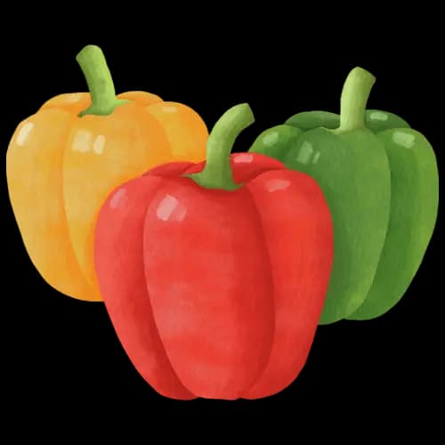 Capsicum illustration