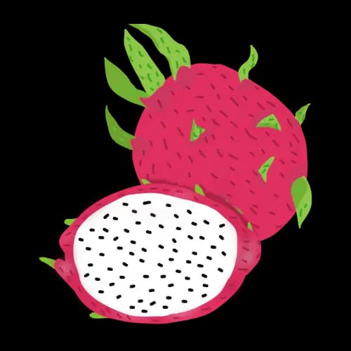 Dragonfruit illustration