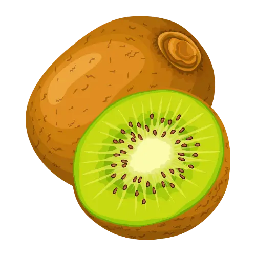Kiwi illustration