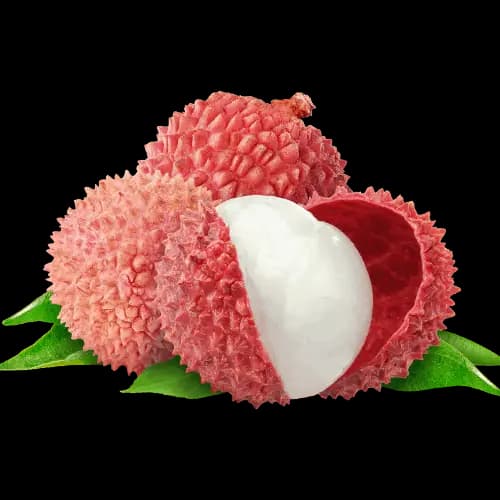 Lychee illustration