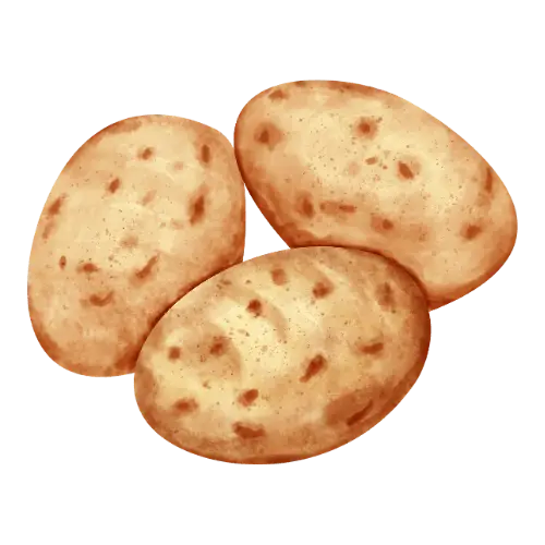 Potato illustration