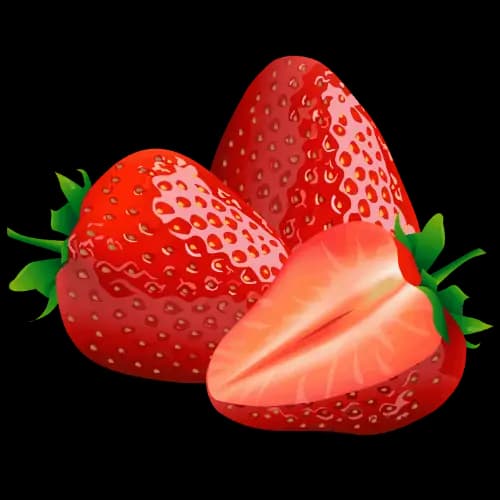 Strawberry illustration