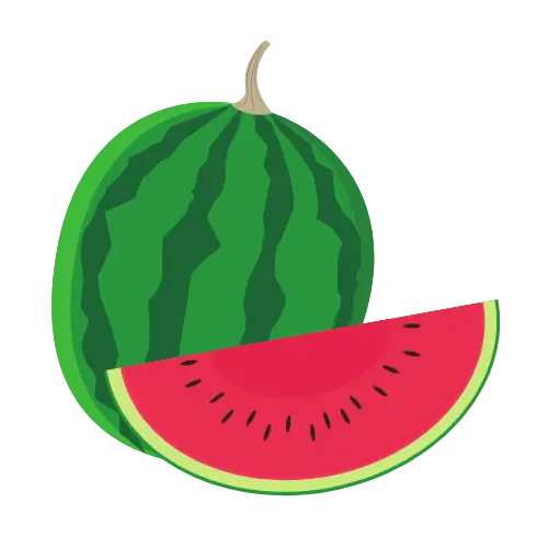 Watermelon illustration