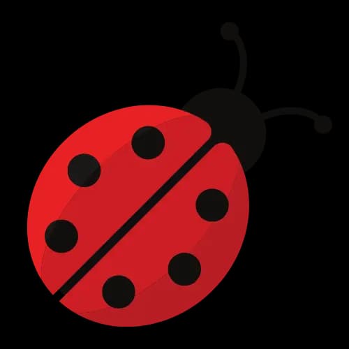 Ladybug illustration
