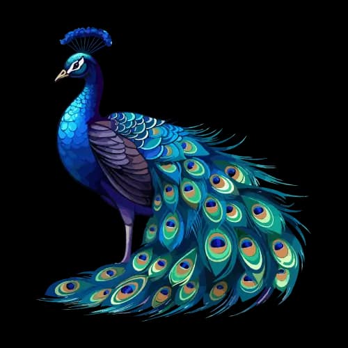 Learn Nepali म with example word Peacock - Hamro Barnamala