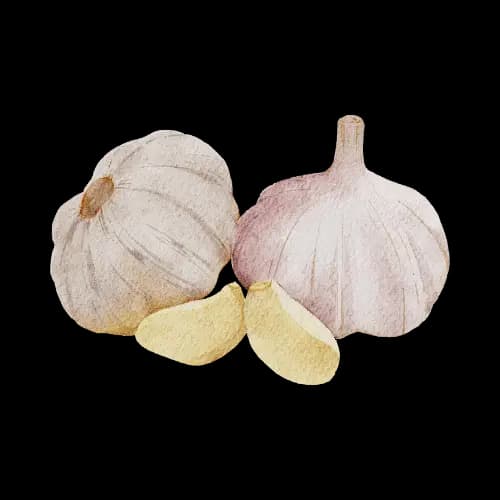 Learn Nepali ल with example word Garlic - Hamro Barnamala