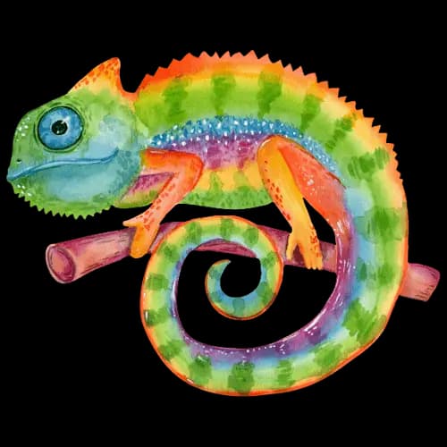 Chameleon illustration