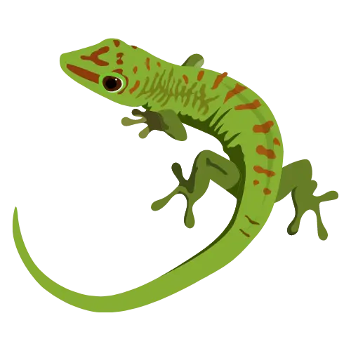 Lizard illustration