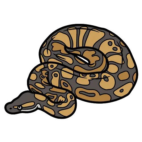 Python illustration