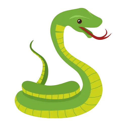 Snake illustration