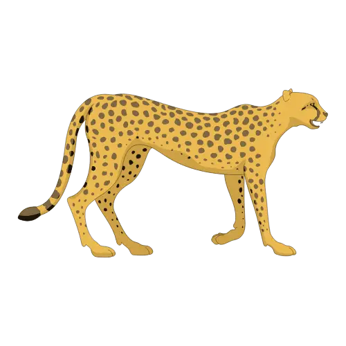 Nepali phrase: चितुवा धेरै जनावरभन्दा छिटो दौडन्छ (A cheetah runs faster than most animals)