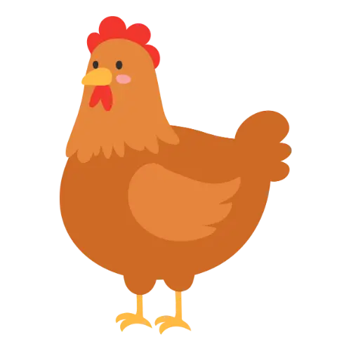 Chicken illustration