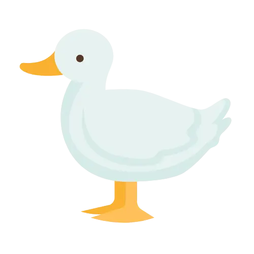 Duck illustration