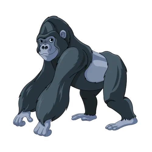 Gorilla illustration