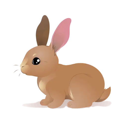 Rabbit illustration