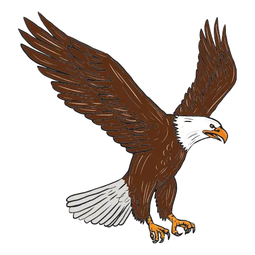 Eagle illustration