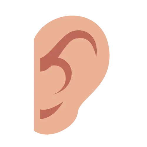 Ear illustration