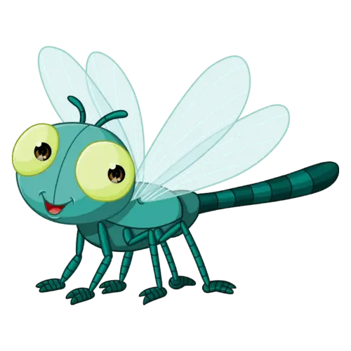 Insects