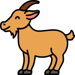 Goat