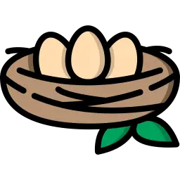 Nest