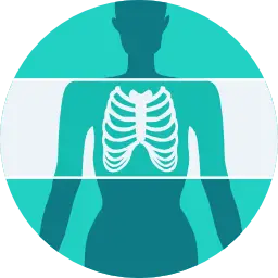 X-Ray
