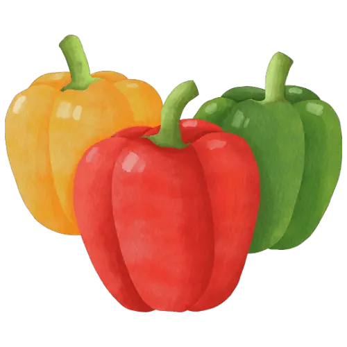 Capsicum illustration