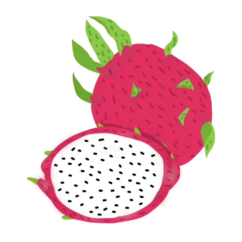 Dragonfruit illustration