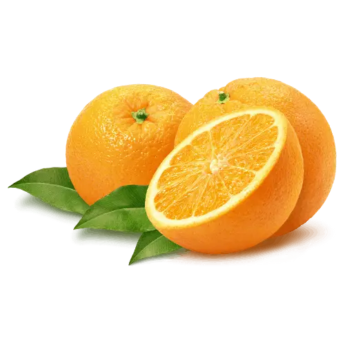 Orange illustration
