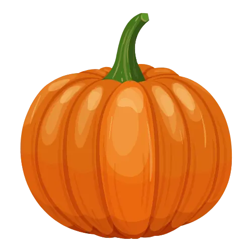 Pumpkin illustration