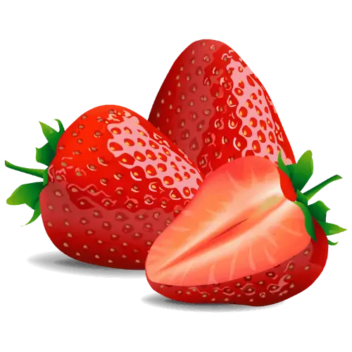 Strawberry illustration