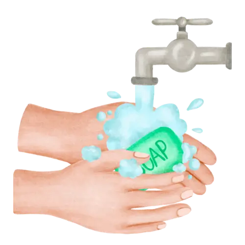 Wash illustration