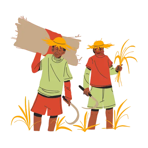 Farmer illustration