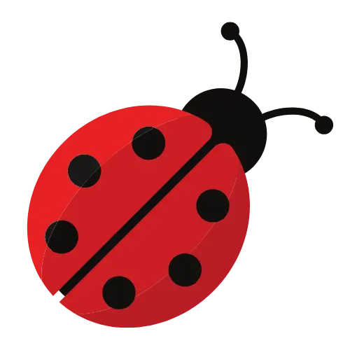 Ladybug illustration