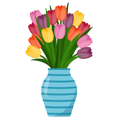 Vase illustration