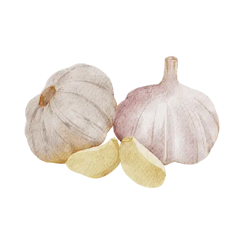 Learn Nepali ल with example word Garlic - Hamro Barnamala