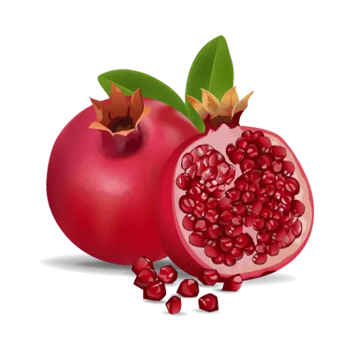 Learn Nepali अ with example word Pomegranate - Hamro Barnamala