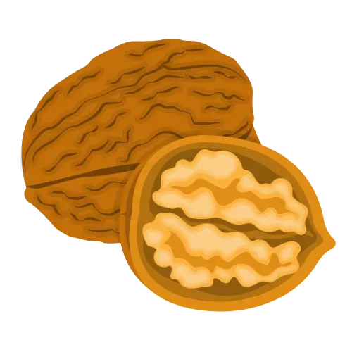 Learn Nepali ओ with example word Walnut - Hamro Barnamala