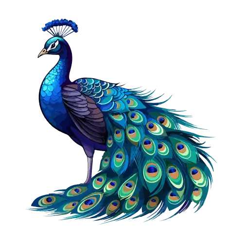 Nepali letter म (Ma) for Peacock - Hamro Barnamala