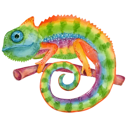 Chameleon illustration