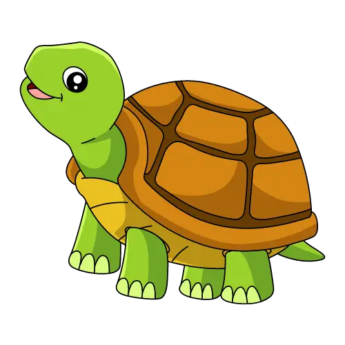 Turtle illustration